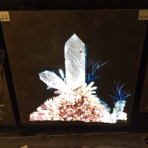Fossil & Mineral GemScape
