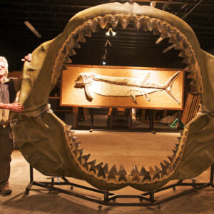 Giant Fish Jaws
