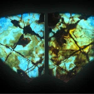 Blue onyx canva pair