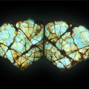 Blue onyx canva pair