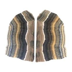 Zebra onyx canva pair