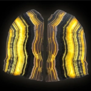 Zebra onyx canva pair